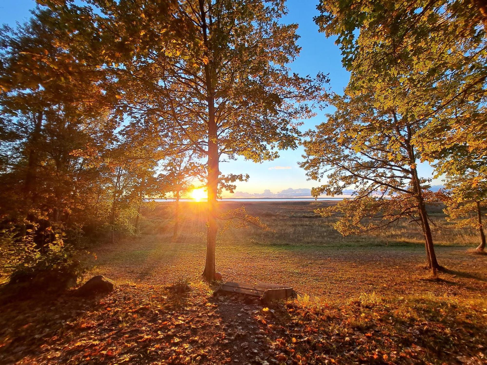 Kempings Ezerpriedes Burtnieki  Buitenkant foto