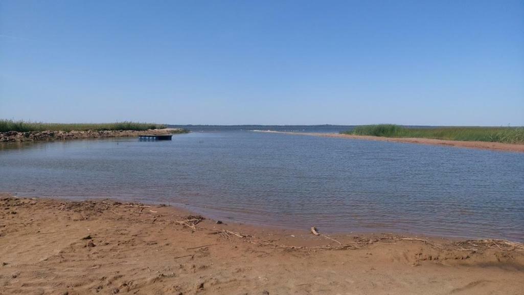 Kempings Ezerpriedes Burtnieki  Buitenkant foto